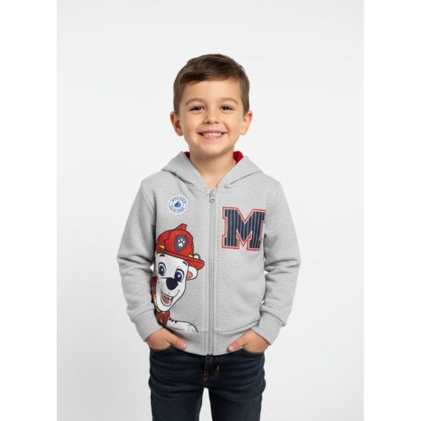 Niño con sudadera gris con personajes de dibujos animados y letras en la parte delantera.