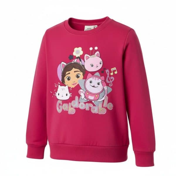 Sudadera rosa con personajes de dibujos animados y la palabra 'Gadodrable'.