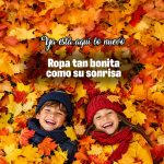 banner otoño-móvil