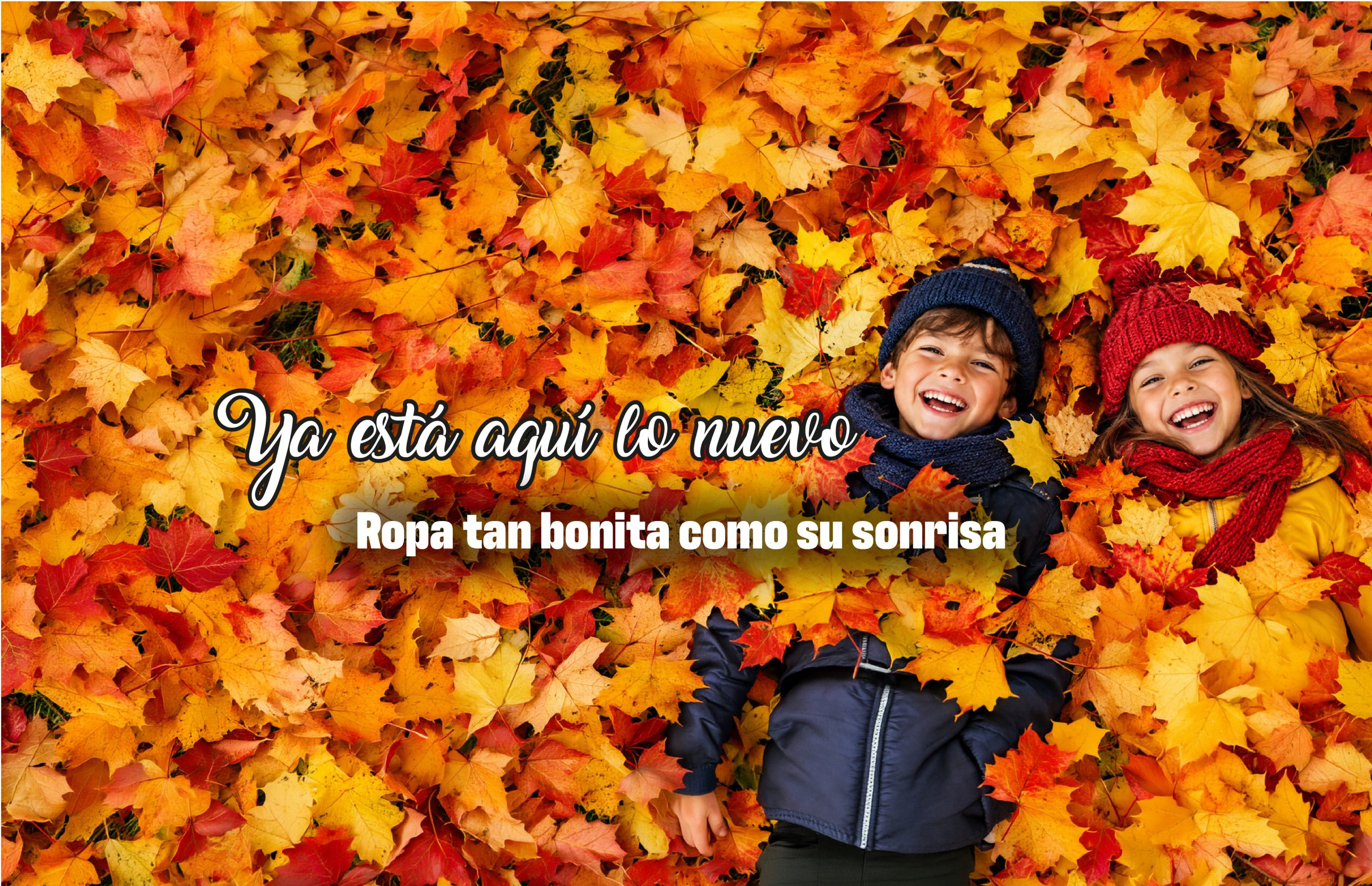 banner otoño-web